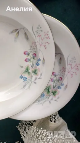 Oscar Scheller цветни и чудесни , снимка 4 - Чинии - 50153444