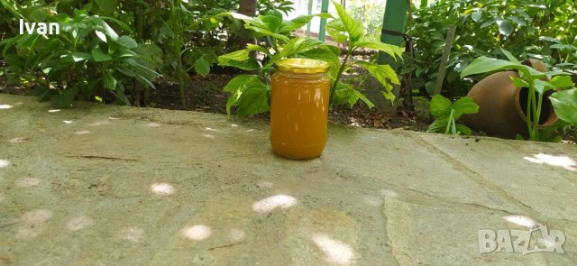 Пчелен мед реколта 2025г купи 5 бр. и вземи + 1бр. безплатен