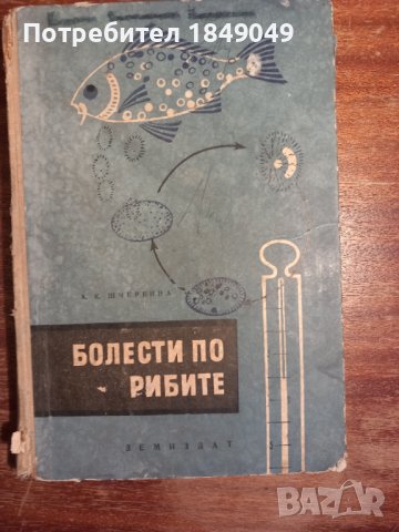 Болести по рибите