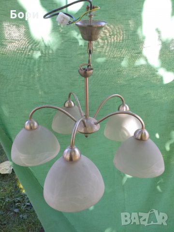 Немски полилеи, снимка 6 - Полилеи - 34331610