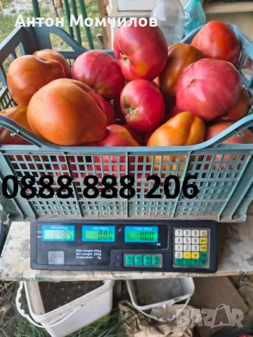 Продавам вкусни домати