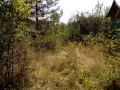 Градинар, земеделец, каруцар..., снимка 5