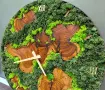 Часовник от маслина и скандинавски мъх , снимка 3