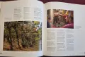 The New Italy. A Complete Guide to Contemporary Italian Wine, снимка 10