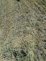  царевица, люцерна, сено, овесена и пшеничена слама , снимка 3