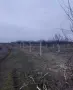 Земеделска земя/Овощна градина, снимка 2