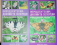 Определител на дневните пеперуди в Природен парк "Витоша". Том 1-2 -Стоян Бешков