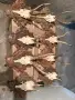 Продавам трофей от сръндак, снимка 3