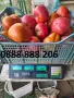 Продавам вкусни домати, снимка 1