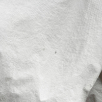 Ellesse Tonvilli Jacket в бяло - Ново - Размер S/M, снимка 8 - Якета - 44673414