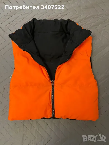 Дебело елече, снимка 1