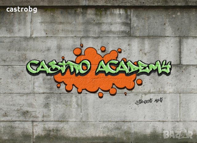 КУРС – ГРАФИТИ ИЗКУСТВО /STREET ART/, снимка 4 - Спорт, танци, изкуство - 35779054