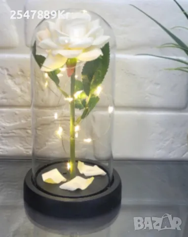 Бяла роза под стъклен купол - Вечна елегантност, снимка 2 - Подаръци за жени - 48675050