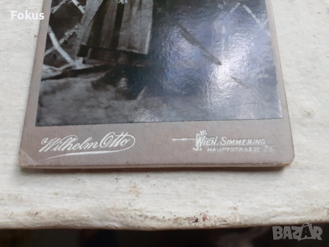 Стара снимка Австрия - дебел картон, снимка 3 - Антикварни и старинни предмети - 53306935