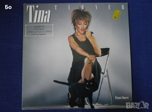 грамофонни плочи Tina Turner, снимка 5 - Грамофонни плочи - 52315211