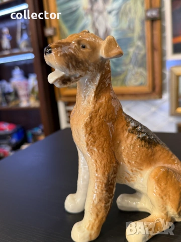 Порцеланово куче от породата Еърдейл ЛФЗ. №7916, снимка 8 - Колекции - 53681419