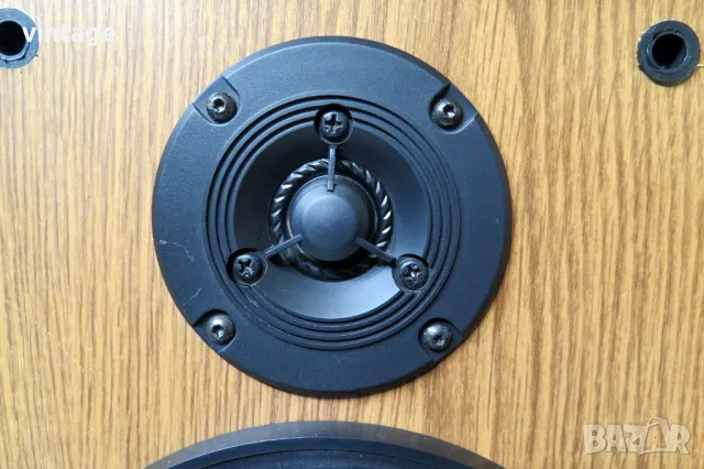 T+A TRITON TS 1E, снимка 3 - Тонколони - 47688281