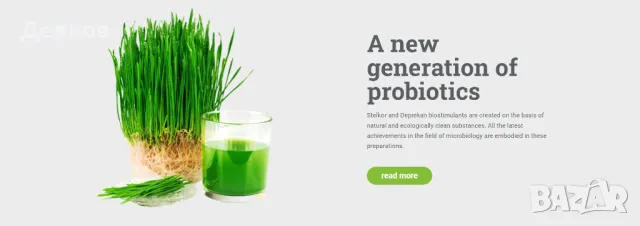 Стелкор. Оригиналът. От представителя за България.