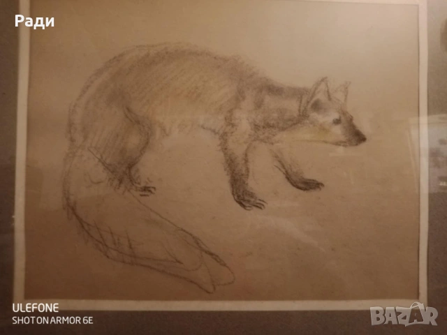 Илия Петров - графика