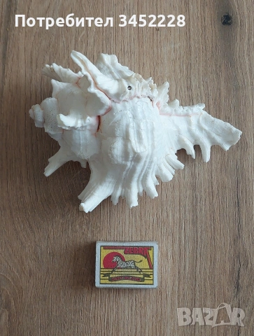 раковина за ценители , снимка 10 - Декорация за дома - 53846311