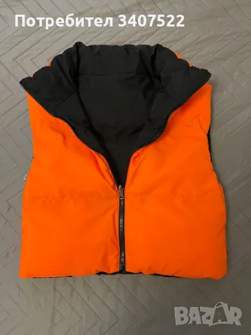 Дебело елече, снимка 1