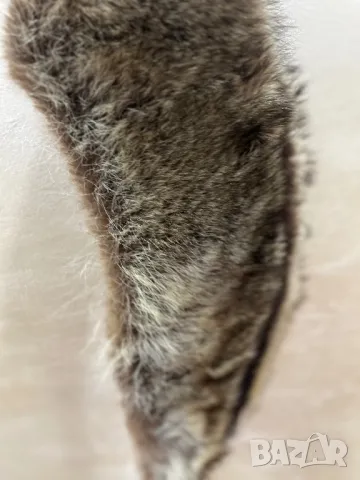 Богата немска лисича яка 117 см 🇩🇪, снимка 14 - Други - 47539639