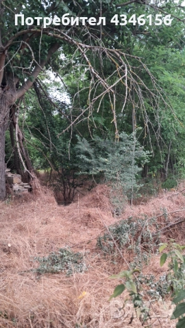 Дворно място, снимка 4 - Парцели - 52008527