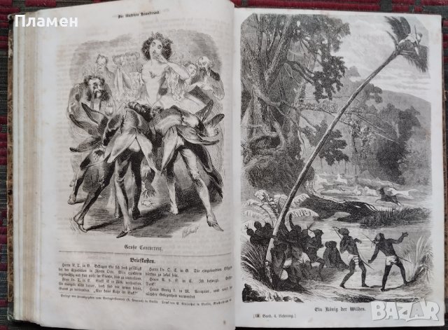 Der Illustrirte Hausfreund /1865/, снимка 7 - Антикварни и старинни предмети - 42509373