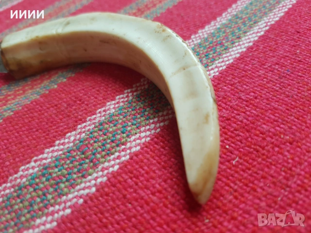 Нож глиганска бивна, снимка 3 - Антикварни и старинни предмети - 53394374