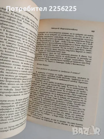 Диамантената сутра, снимка 4 - Специализирана литература - 55815580
