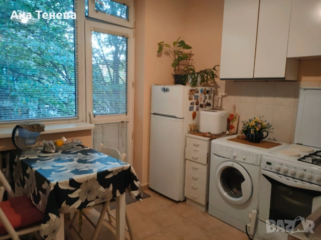 давам стая под наем, снимка 3 - Стаи под наем - 51802867