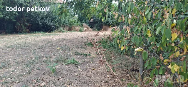 Дворно място в село Манолско Конаре , снимка 2 - Парцели - 56149259