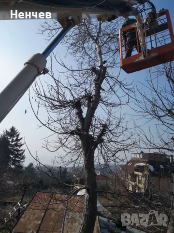 Автовишка под наем 15 метра , снимка 6 - Електро услуги - 49538715