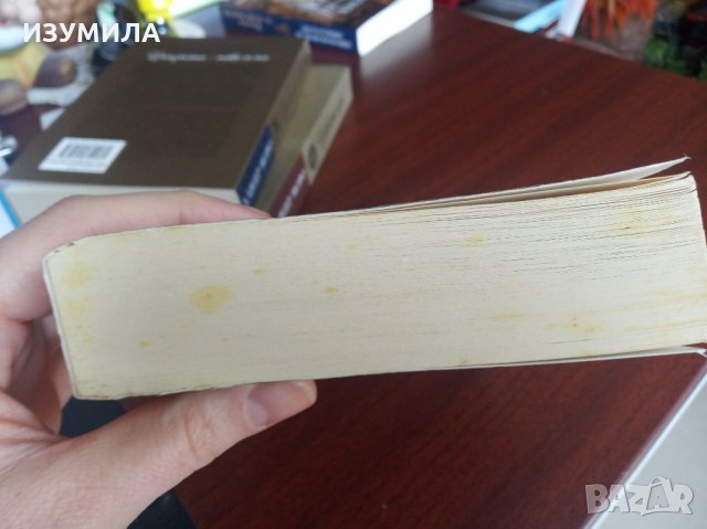 "Изгубената дъщеря" и "Златният син"-Шилпи Сомая Гоуда , снимка 4 - Художествена литература - 35668194