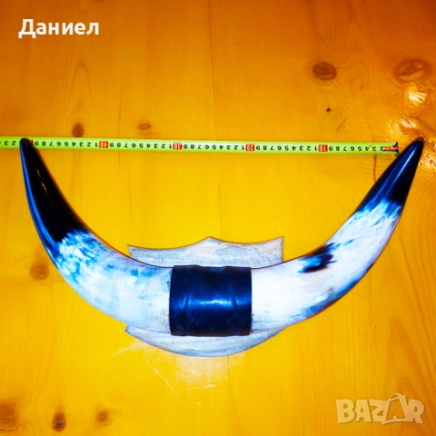 Декорация от рога на воден бивол, снимка 7 - Декорация за дома - 52028966