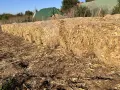 Рулонни бали слама и царевичак, снимка 4