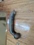 Голям Теглич Бусове , снимка 5