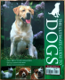 Най-доброто ръководство за над 100 породи кучета (на английски език), снимка 1 - Енциклопедии, справочници - 44794852