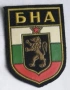 БНА— Емблеми от Българската Армия до 1989 год., снимка 3