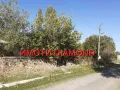 Парцел в село Крепост общ. Димитровград, снимка 1
