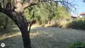 Имот село Ковачевци, община Самоков , снимка 8