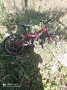 колело пасатти Фокс  20", снимка 2