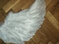 Големи ангелски крила,пух,перушина  , снимка 2