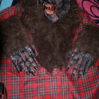 костюм на върколак-маска, ръкавици и риза-комплект, снимка 1 - Други - 35908994