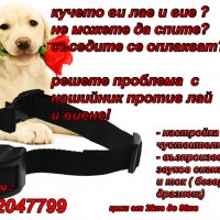 електронен нашийник каишка за обучение и дресура на куче , бийпър , против лай виене лаене, снимка 12 - За кучета - 34117800