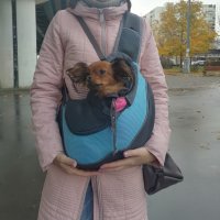 Мрежеста чанта за куче/котка Оксфорд, за пътуване, на открито-удобна чанта с прашка, снимка 8 - За кучета - 40916385