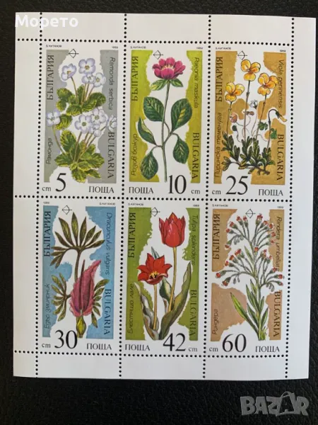 Малък лист марки-Растения застрашени от изчезване-1989год., снимка 1