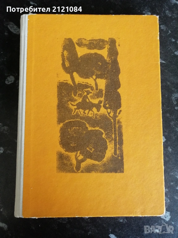Родна стряха/ Ран Босилек избрани стихотворения за деца 1967 , снимка 1