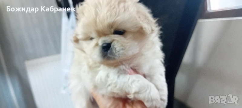 едно момче и две момичета , снимка 1