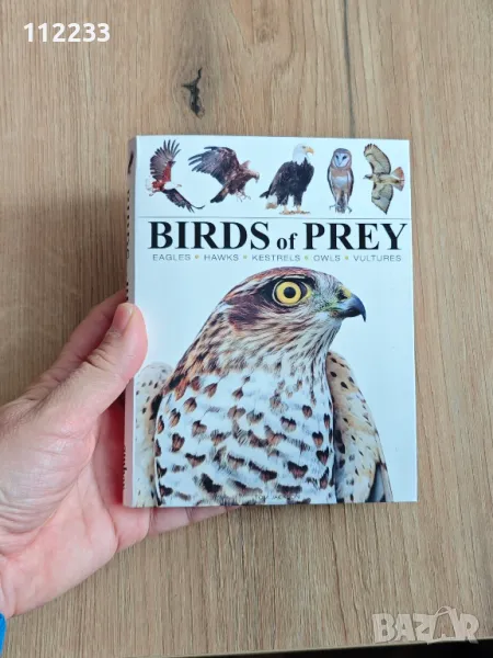 Birds of prey Хищни птици, снимка 1